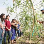 New environmental and sustainability studies major approved